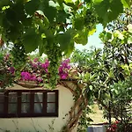 Uma Casa A Beira Sol فندق مبيت وإفطار لاغوس