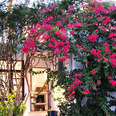 לינה וארוחת בוקר Uma Casa A Beira Sol לאגוּ‏ש