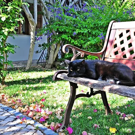 Uma Casa A Beira Sol 3* Лагуш