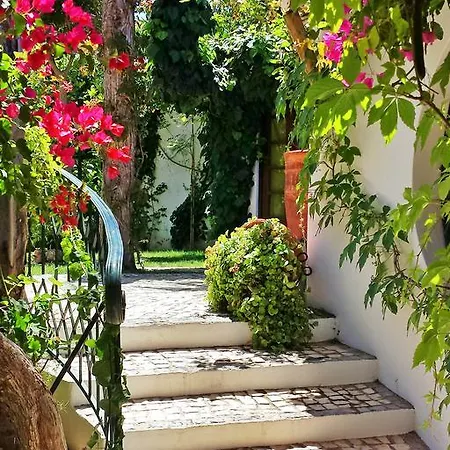 לינה וארוחת בוקר Uma Casa A Beira Sol 4*