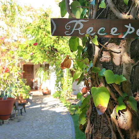 Uma Casa A Beira Sol