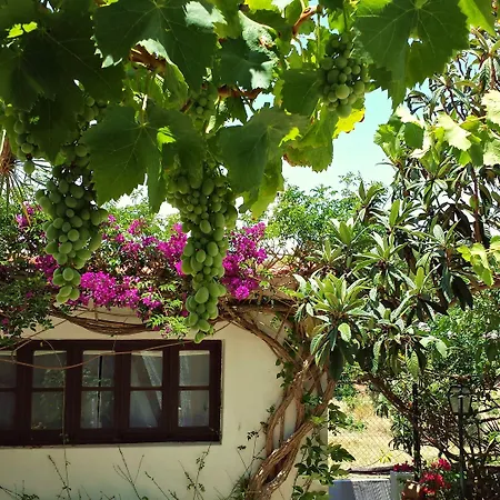 Uma Casa A Beira Sol Nocleg ze śniadaniem Lagos