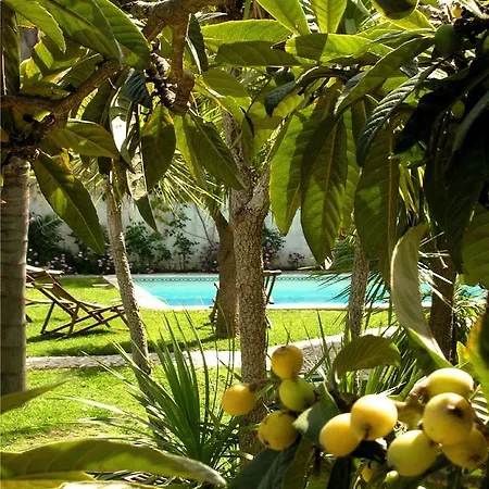 Uma Casa A Beira Sol Bed & Breakfast